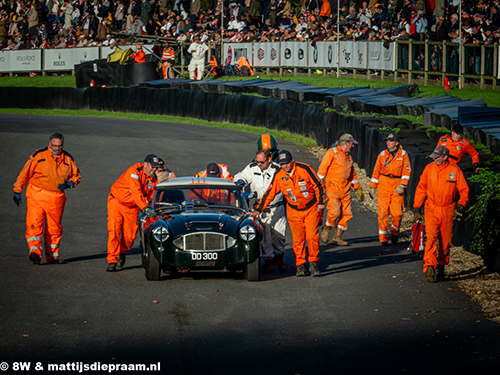 Christiaen van Lanschot, Austin Healey 3000, 2025 Goodwood Revival